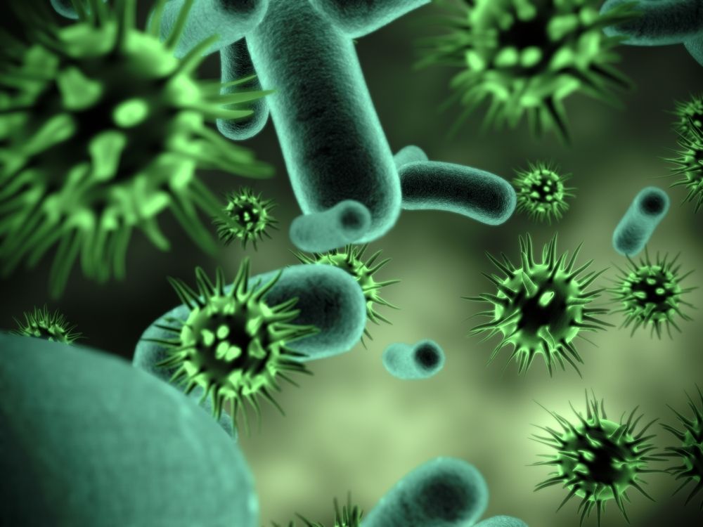 Obraz spod mikroskopu w kolorze zielonym. Widać wirusy i bakterie czyli kule z kolcami i pałeczki bakterii. 