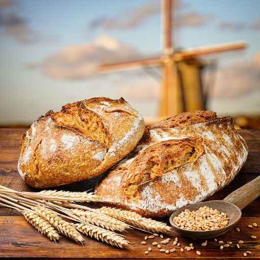 Dwa bochenki chleba na drewnianej ławeczkce ozdobiobne źdźbłem zboża na tle pięknego drewnianego młyna. 