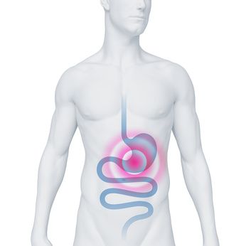 Anatomiczne zdjęcie człowieka z zaznaczonym ukladem pokarmowym. Reszta człowieka jest na szaro. W miejscu żołądka jest czerwony sygnał (kółeczka)