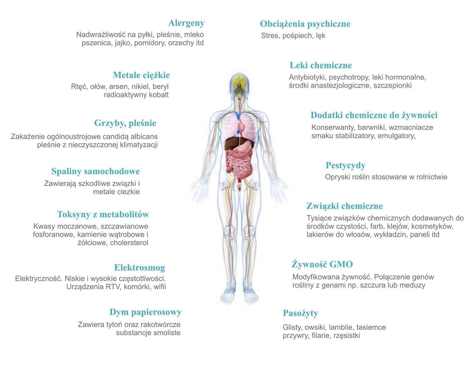 Obraz schematyczny, gdzie w środku jest sylwetka człowieka a po bokach wypisane obciążenia i toksyny jakie obciążają organizm. 