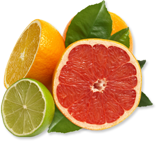 Przekrojone cytrusy, pomarańcza, cytryna. Są też liście. Ładne zdjęcie samych owoców na białym tle. 