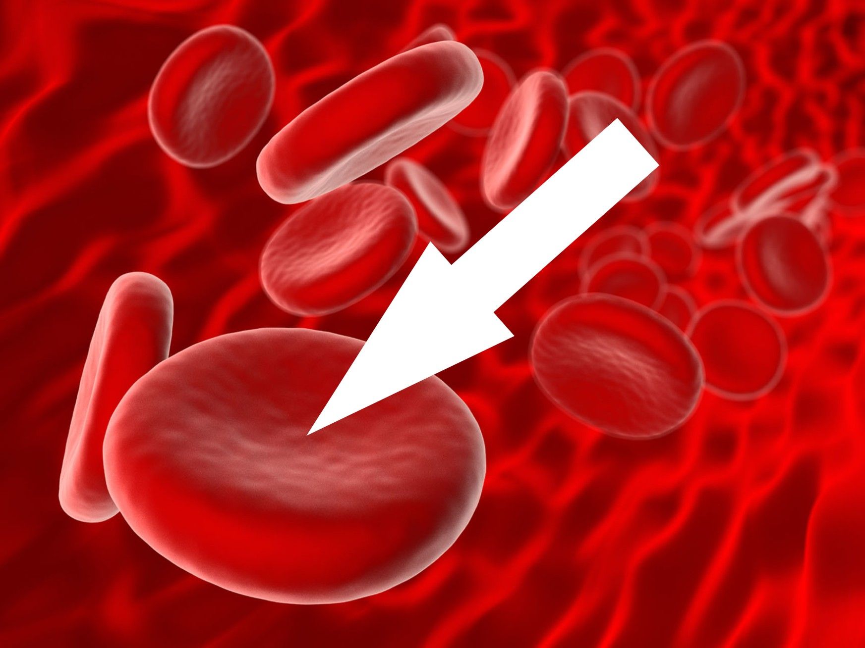 Krwinki czerwone, erytrocyty w płynącej krwi