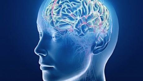 Mózg zdjęcie anatomiczne - ciemno niebieskie tło, postać człowieka jakby przezroczysta jasno niebieska - wyodrębniony jest mózg